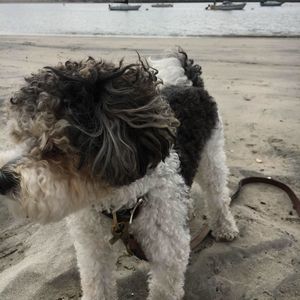 Meet your Posher, Heather